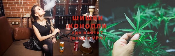 гашик Алексеевка