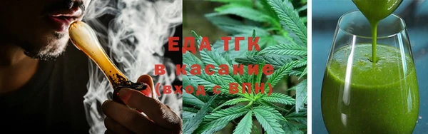 прущие грибы Алзамай