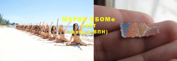 прущие грибы Алзамай