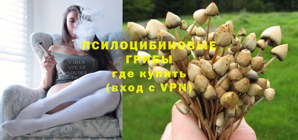 гашик Алексеевка